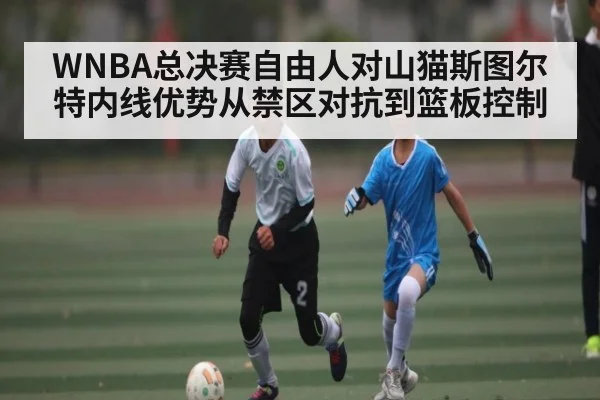 WNBA总决赛自由人对山猫斯图尔特内线优势从禁区对抗到篮板控制